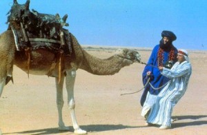 ishtar-camel