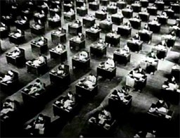thecrowd