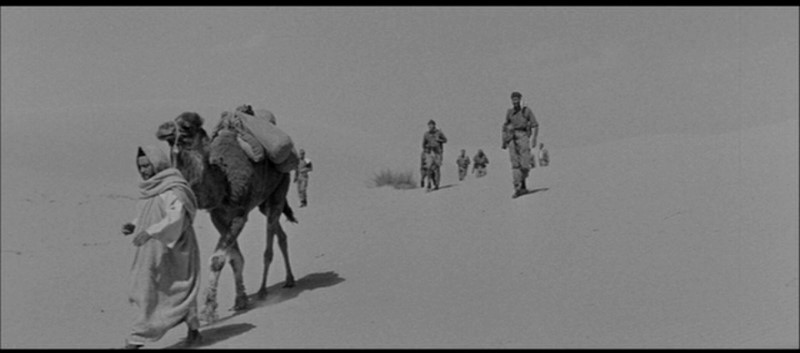 bitter-victory-desert