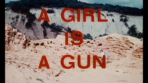 a-girl-is-a-gun-title
