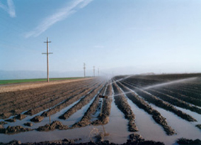 el_valley_centro