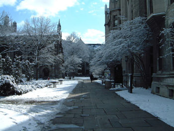 snowy_uchicago