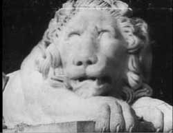 lion2