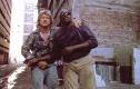theylive5