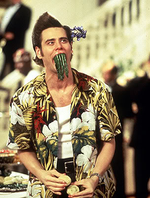 aceventura2