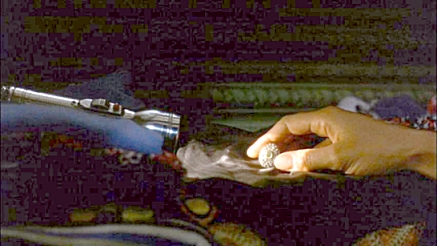 besiegeddetail