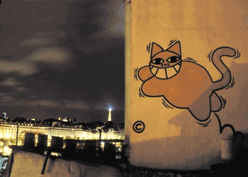 caseofthegrinningcat4