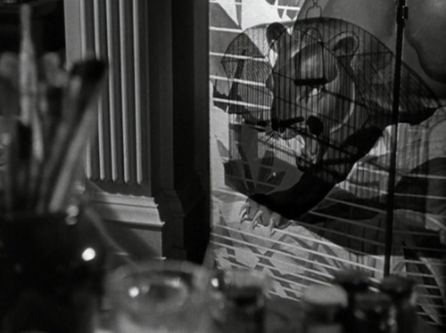 cat-people3