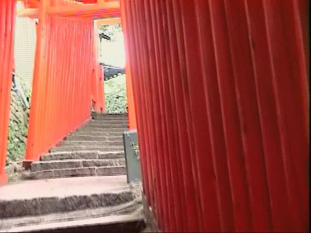 the4thdimension