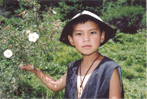 theadoptedson2