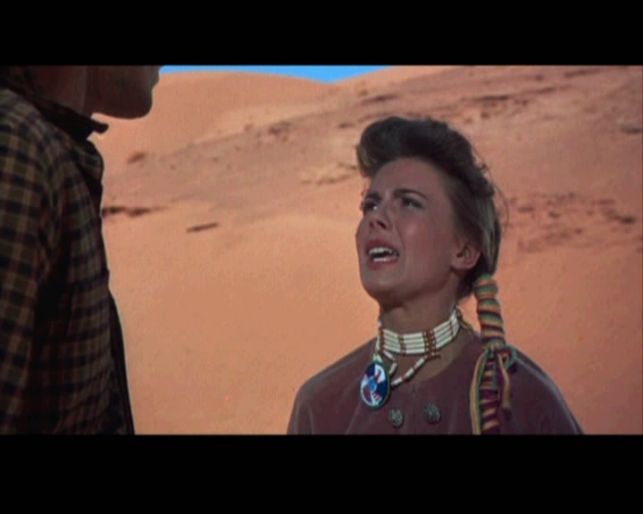 the-searchers-wood
