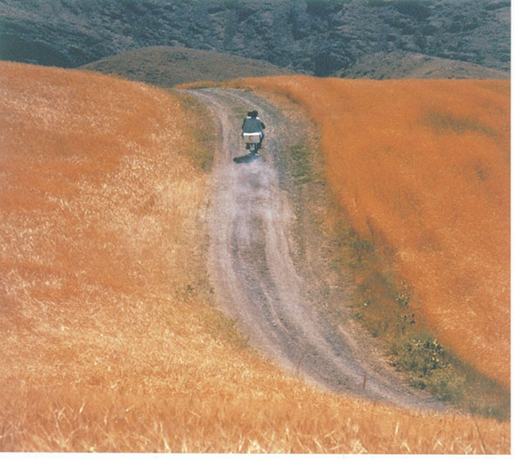 the-wind-will-carry-us-landscape