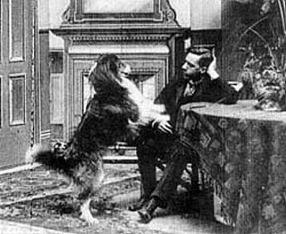 dog-outwits