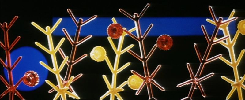 le-chant-du-styrene