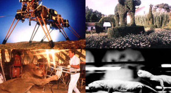 fast-cheap