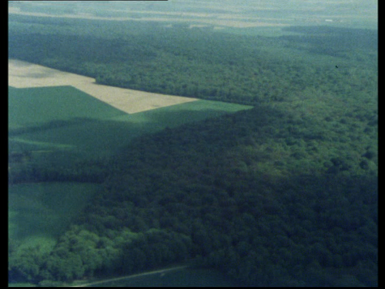 jdl-aerial1
