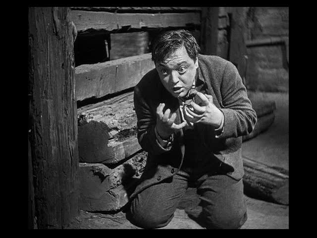peterlorrem1