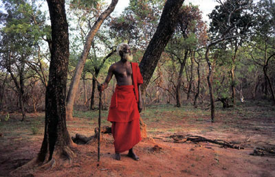 po-di-sangui