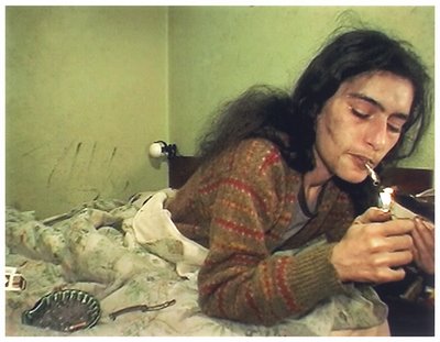 in-vandas-room-crack1