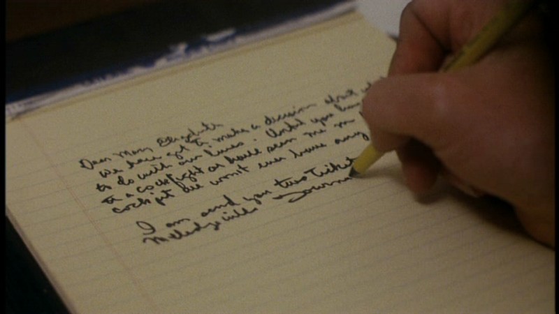 cockfighter-writing
