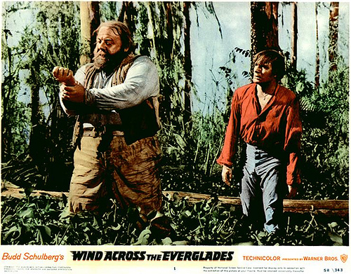 windacrosstheeverglades