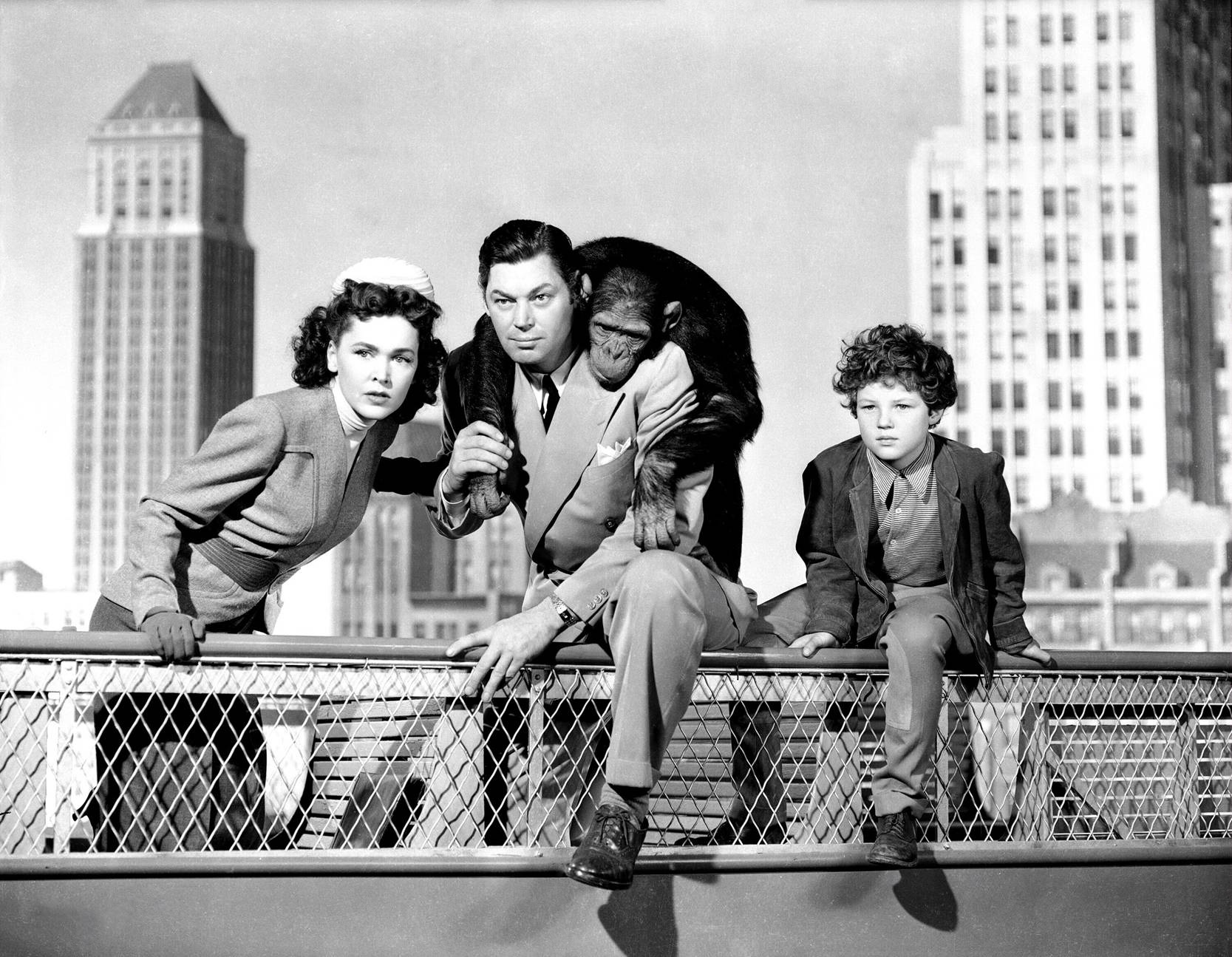tarzans-new-york-adventure