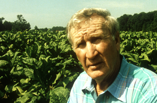 brightleavesinterview1
