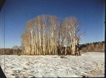 deseret4