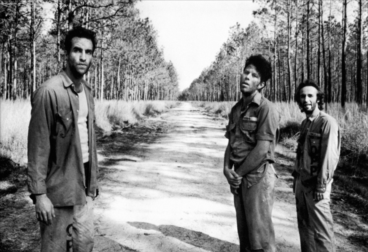 down-by-law-trio