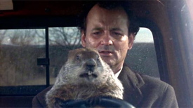 groundhog-day2