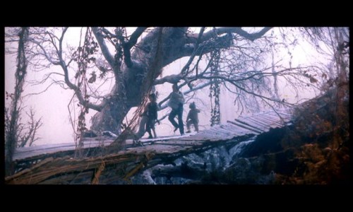 hook-neverland21