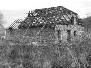 the-turin-horse-shack-in-construction