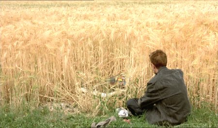 vangogh-field2