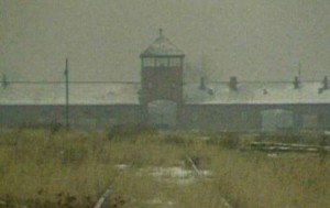 shoah-cropped