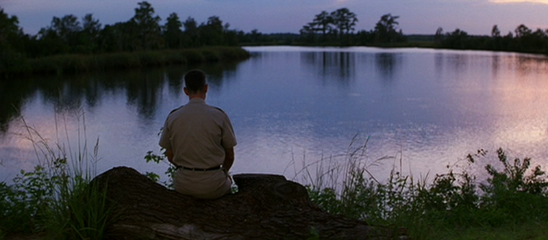forrest-gump-picturesque-big