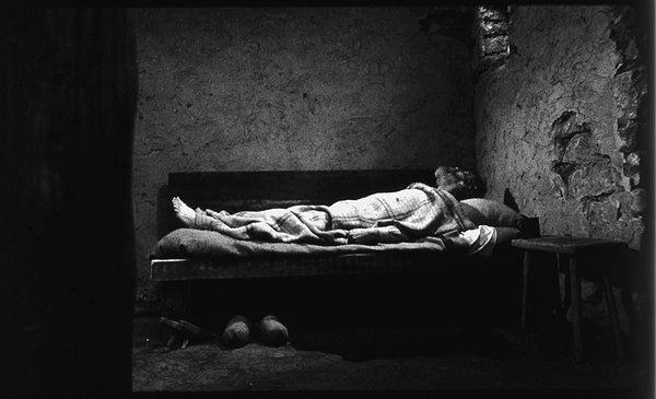 turinhorse-bed