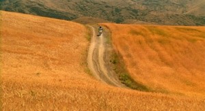thewindwillcarryus-wheat