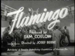 flamingo-title