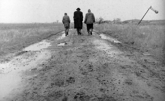 satantango-road1