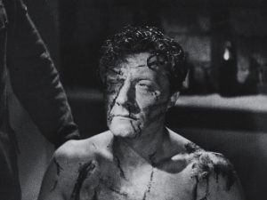 OPENCITY-turturedpartisan