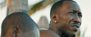 mahershala-ali-moonlight-700x286